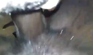ebony queen fucks no ...